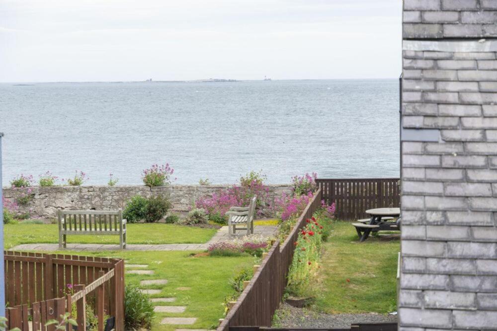 Apartmán Puffin View Seahouses Exteriér fotografie